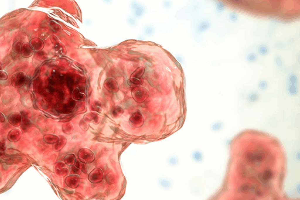 Naegleria fowleri (pelafalan /nə'ɡlɪə. ɹiə/) (juga disebut "amoeba pemakan otak") adalah protista yang hidup di air tawar yang hangat, yang bersuhu dari 25-35 derajat celcius.